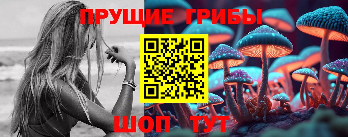 Псилоцибиновые грибы мухоморы Ногинск