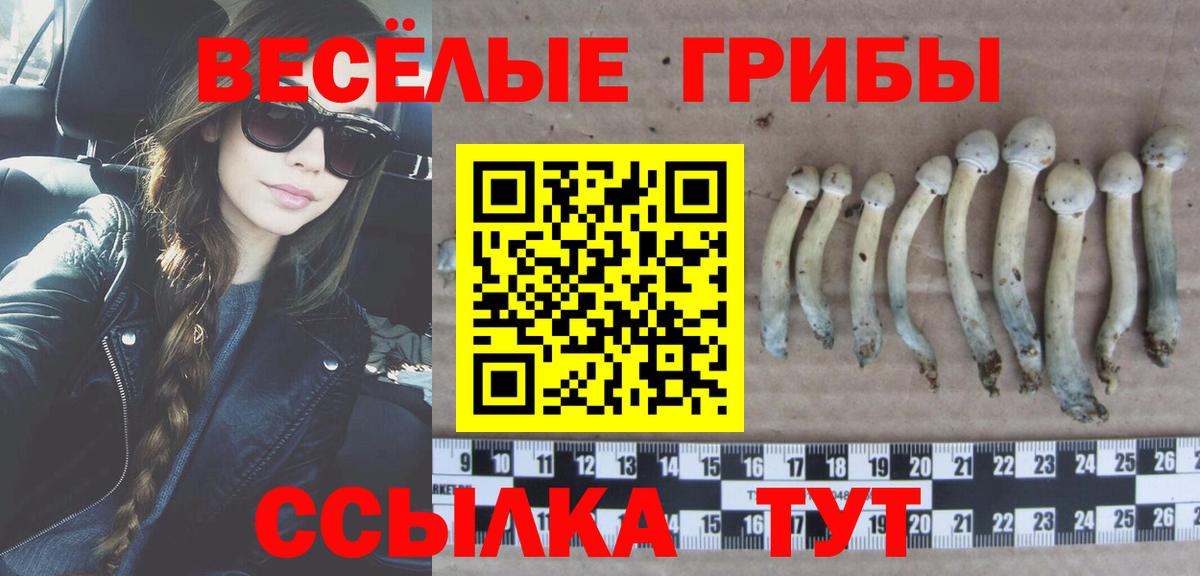 Ногинск  Галлюциногенные грибы ЛСД  Вход с VPN 